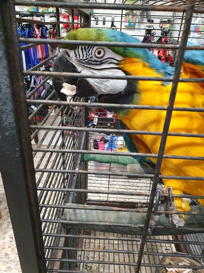 Mondo Animali - Foto 4