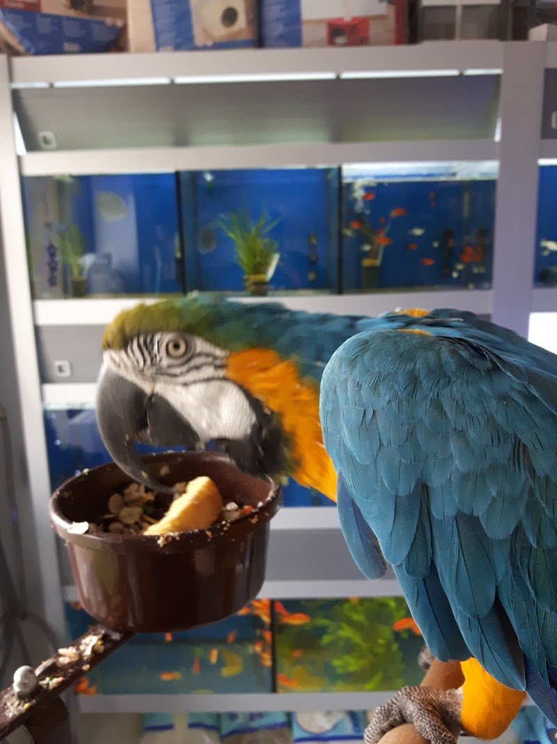 Mondo Animali - Foto 5