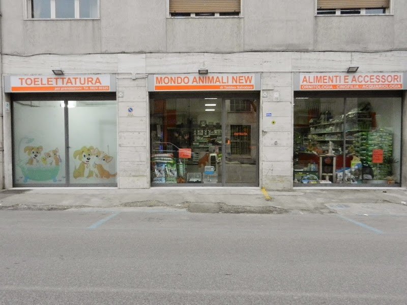 Mondo Animali New - Foto 1