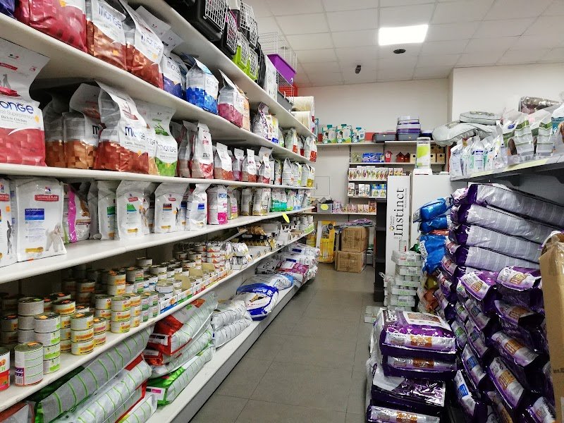 Mondo Animali New - Foto 2