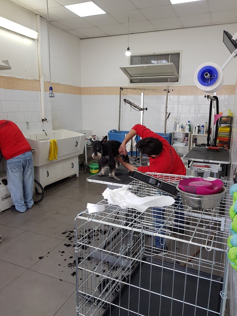 Mondo Animali New - Foto 4