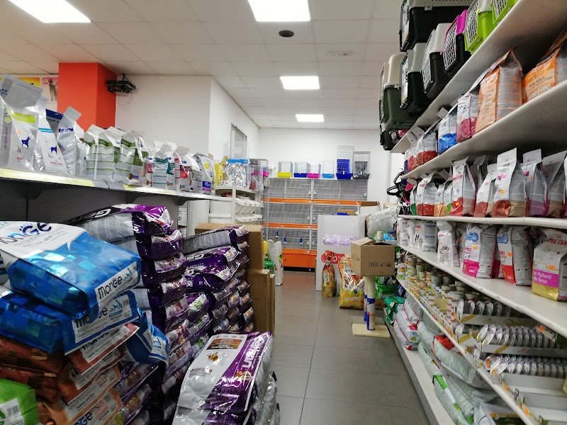 Mondo Animali New - Foto 5