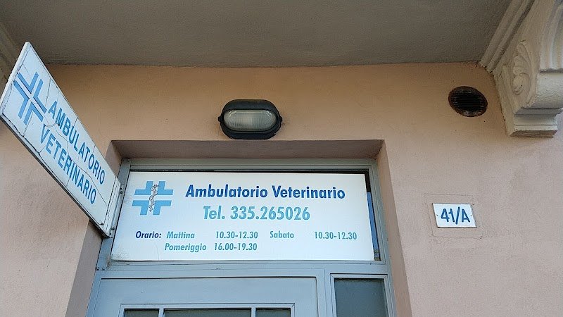 Montebello Cani e Gatti - Foto 3