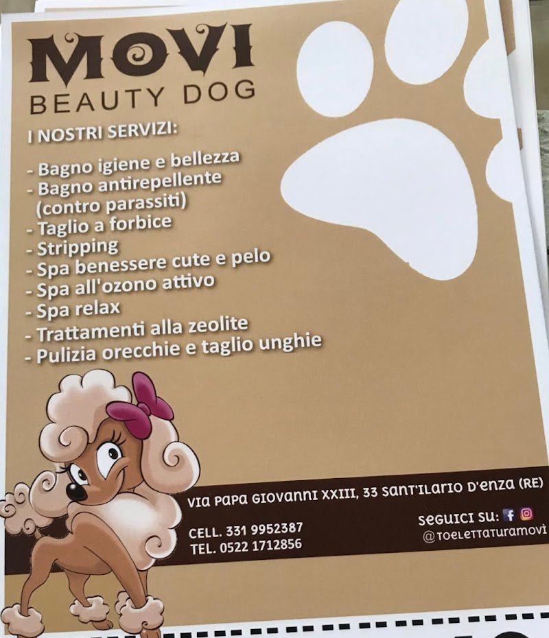 Movì beauty Dog - Foto 1