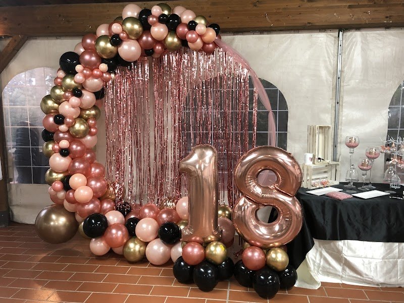 Mr Food&La Coccinella Fiorita Pisa Animali Palloncini Fiori Organizzazione Eventi - Foto 5