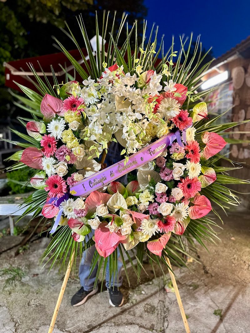 Mr Food&La Coccinella Fiorita Pisa Animali Palloncini Fiori Organizzazione Eventi - Foto 6