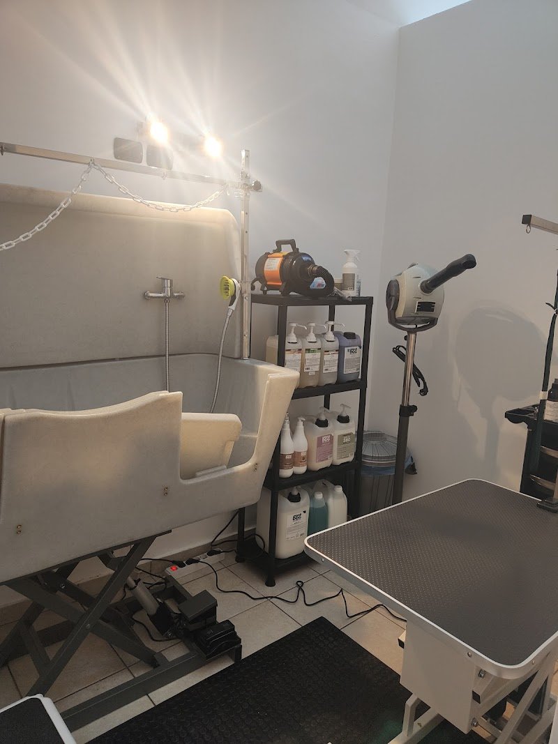 Mrs. Dogfire by FreshDog - Foto 1