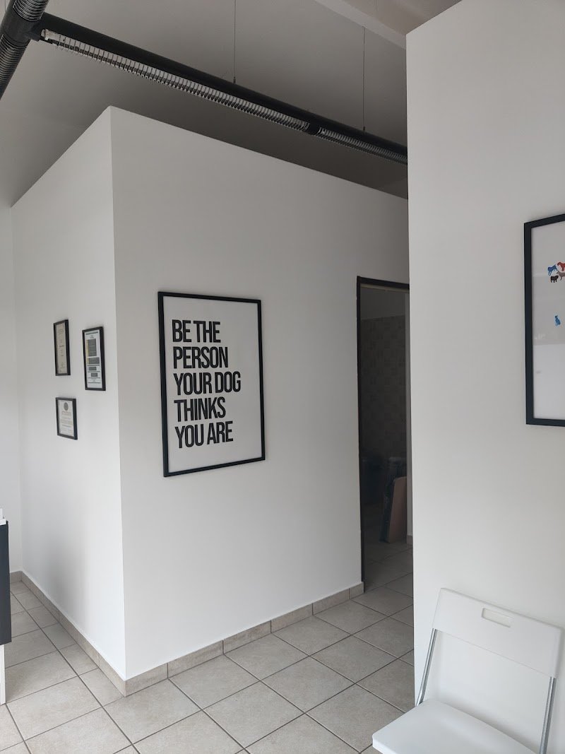 Mrs. Dogfire by FreshDog - Foto 3