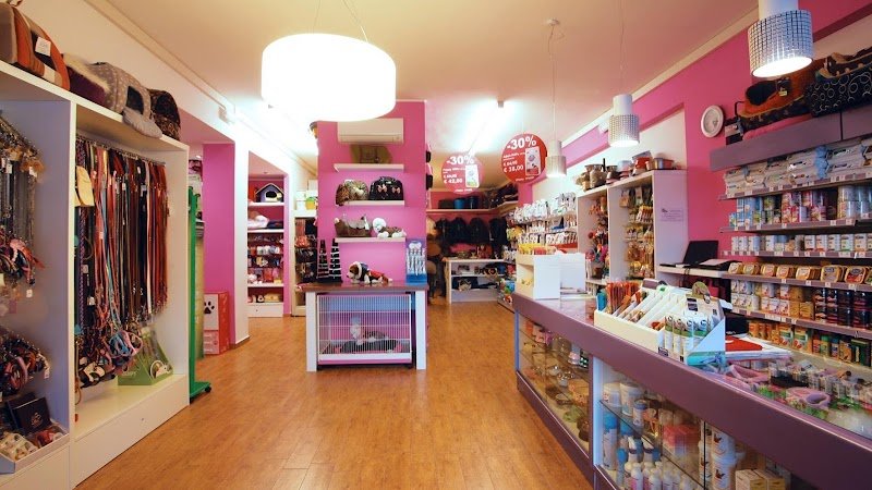 Muso a Muso - Foto 1