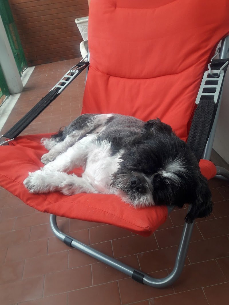 Muso a Muso - Foto 2