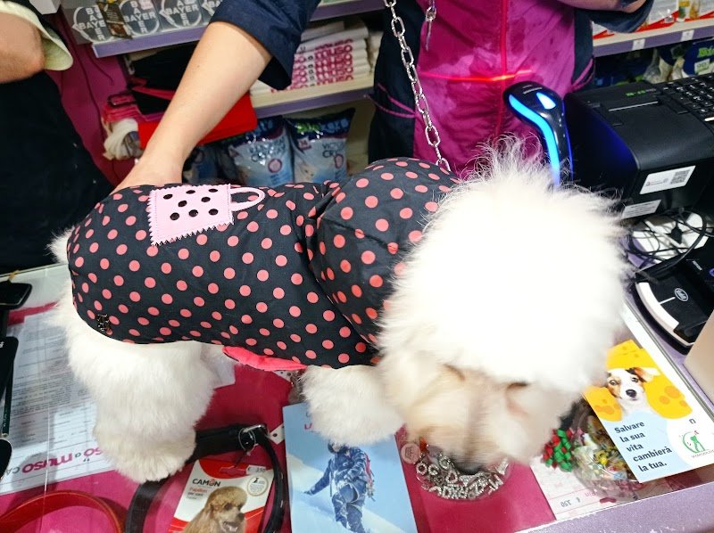 Muso a Muso - Foto 3