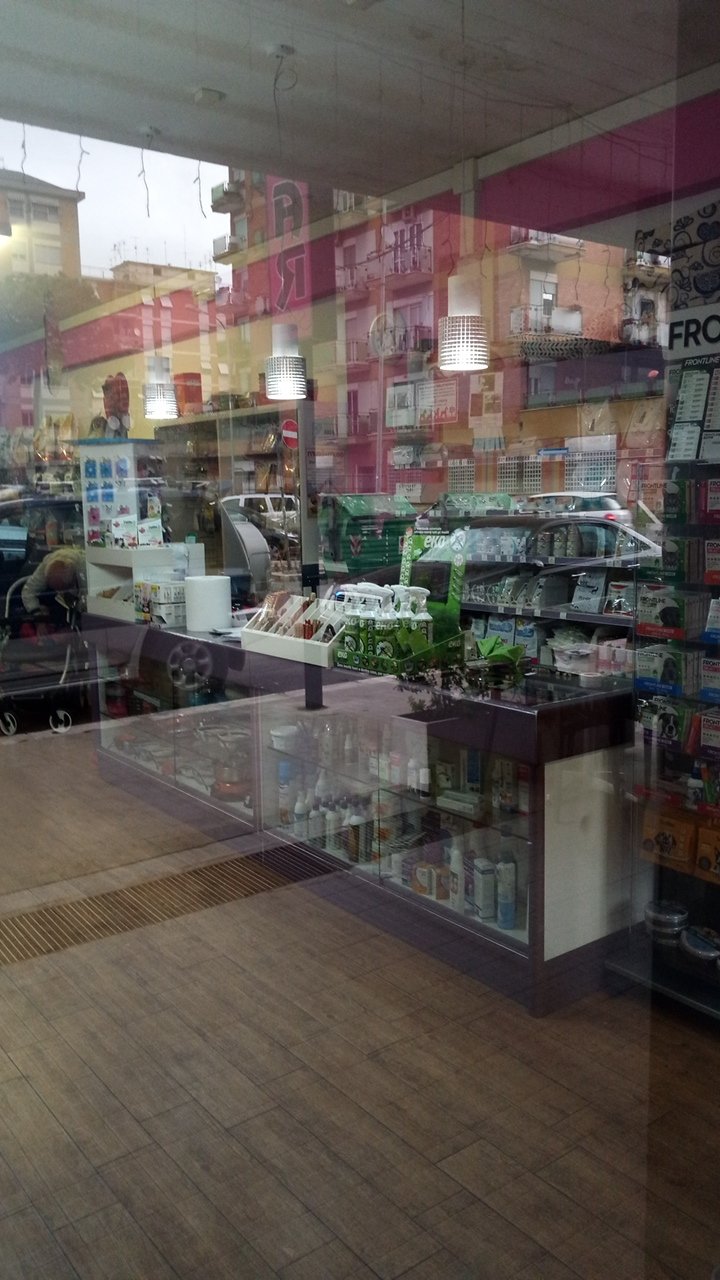 Muso a Muso - Foto 4