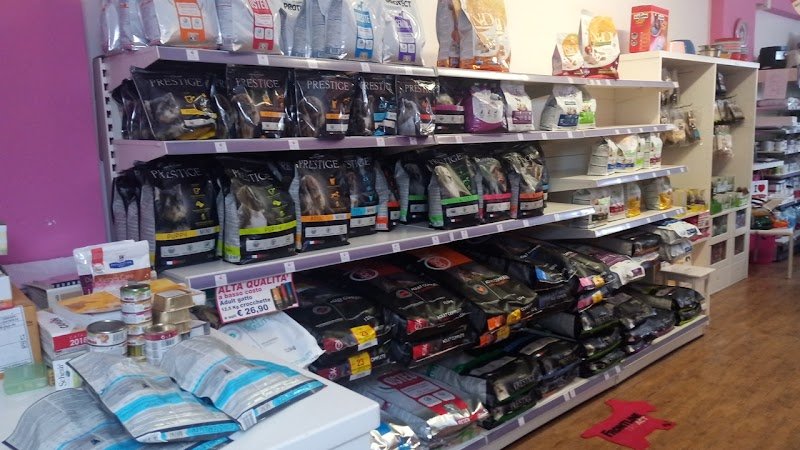 Muso a Muso - Foto 6