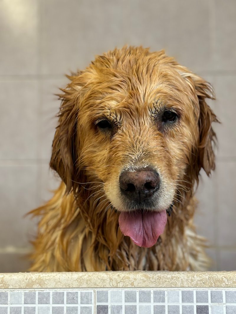 Muso a muso - Foto 2