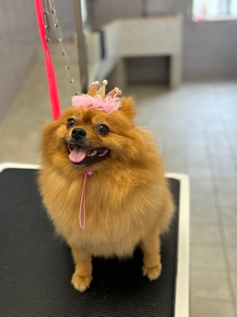 Muso a muso - Foto 3