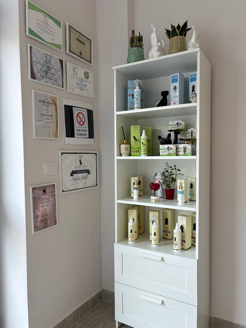 Muso a muso - Foto 6