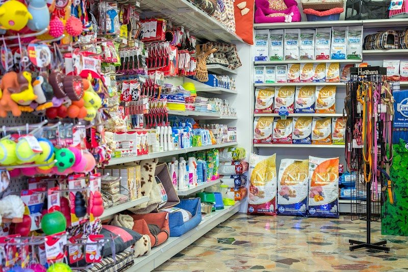 Muso Fedele - Foto 2