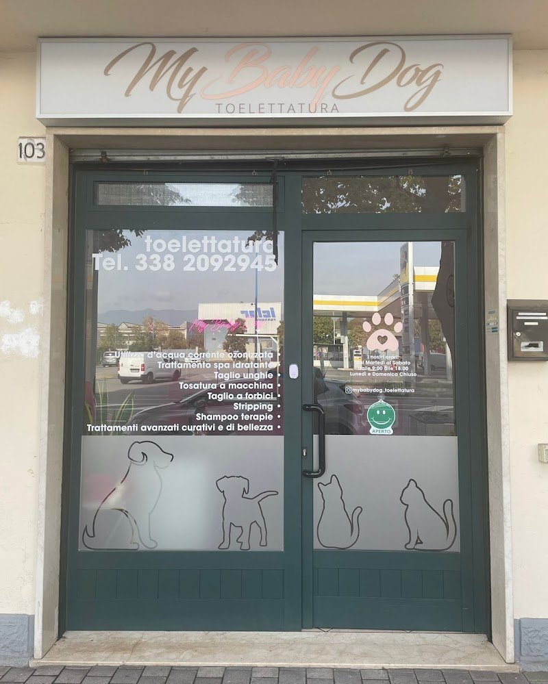 My Baby Dog Toelettatura - Foto 6