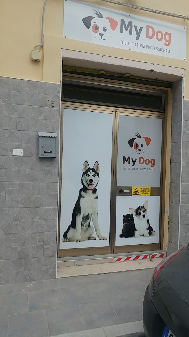 MY DOG Toelettatura Professionale - Foto 1