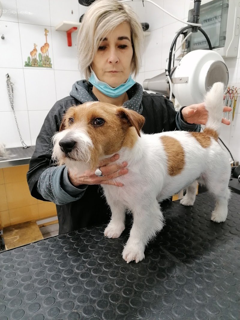 My food & Toilette - Foto 4