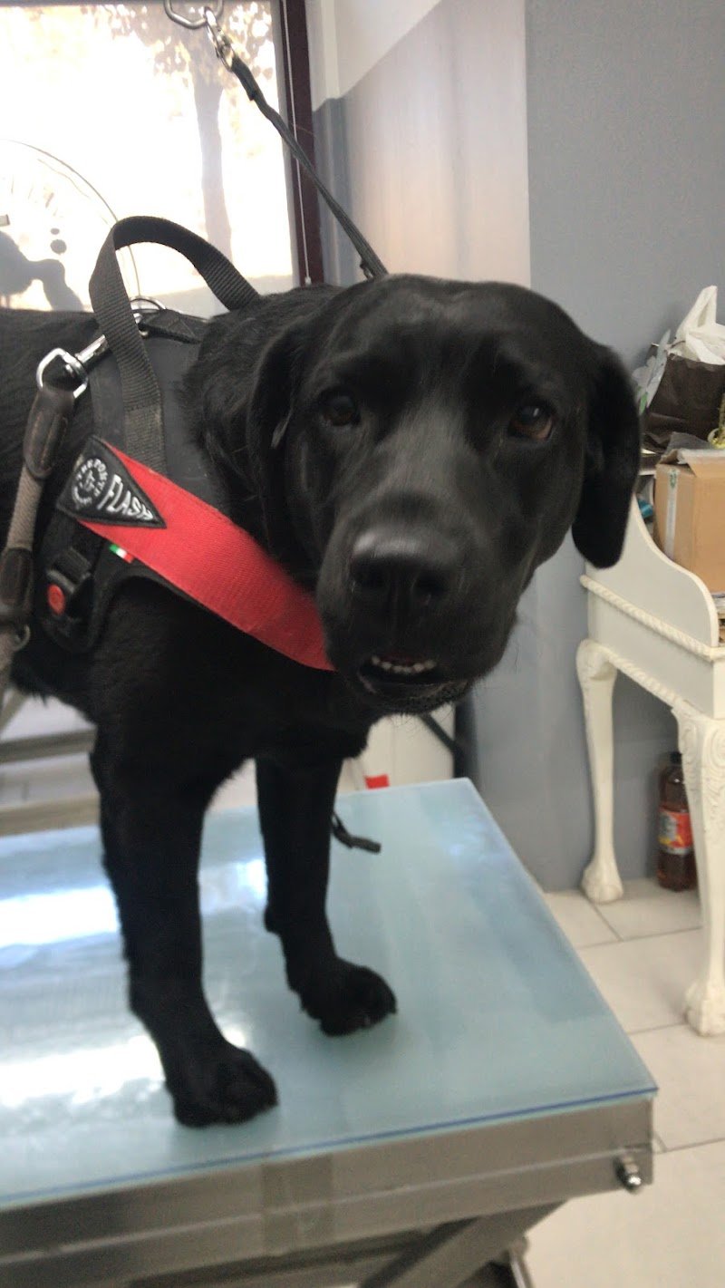 My Pet Care di F.F. - Foto 6