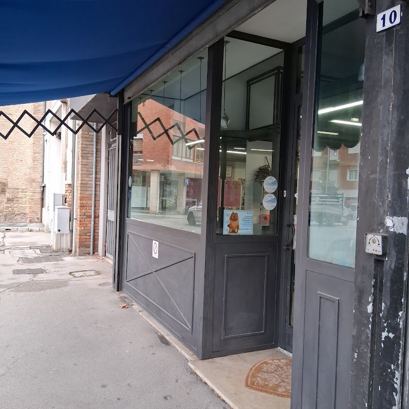 Nahual Pets - Foto 5