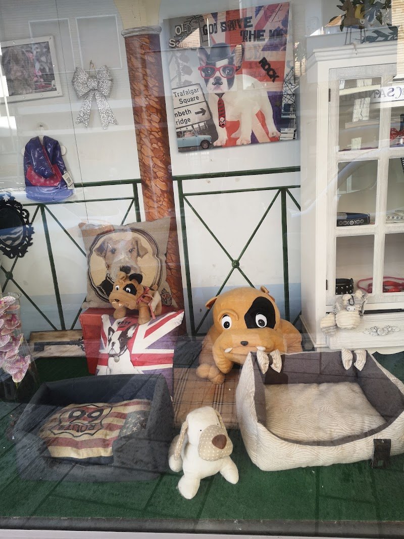 Narcisi toilette per Cani - Foto 2