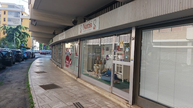 Narcisi toilette per Cani - Foto 5