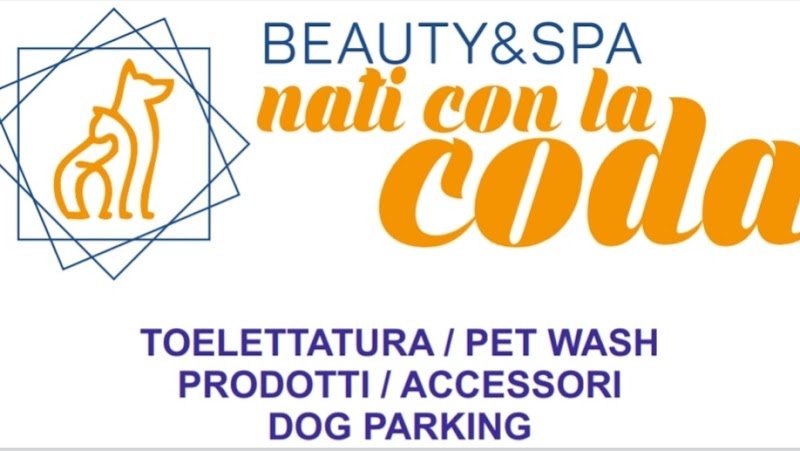 Nati con la coda di Anna Taldone - Foto 3