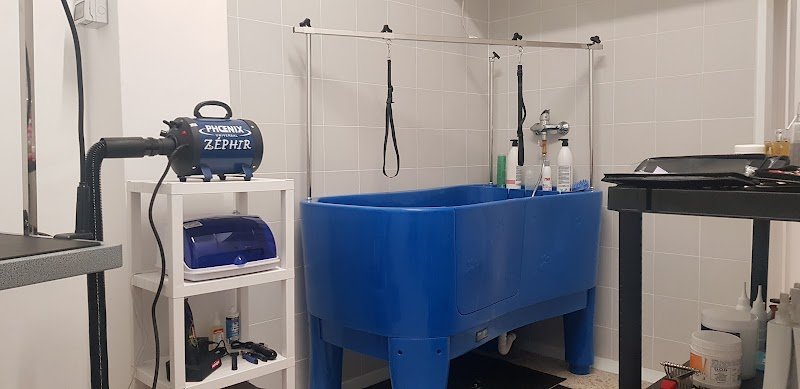 Nati con la coda di Cavadenti Marco - Foto 5