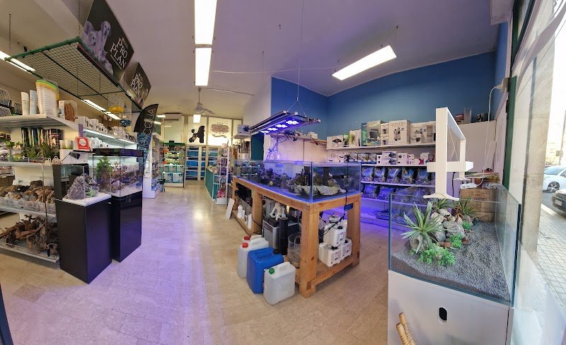 Natura Vera - Foto 1