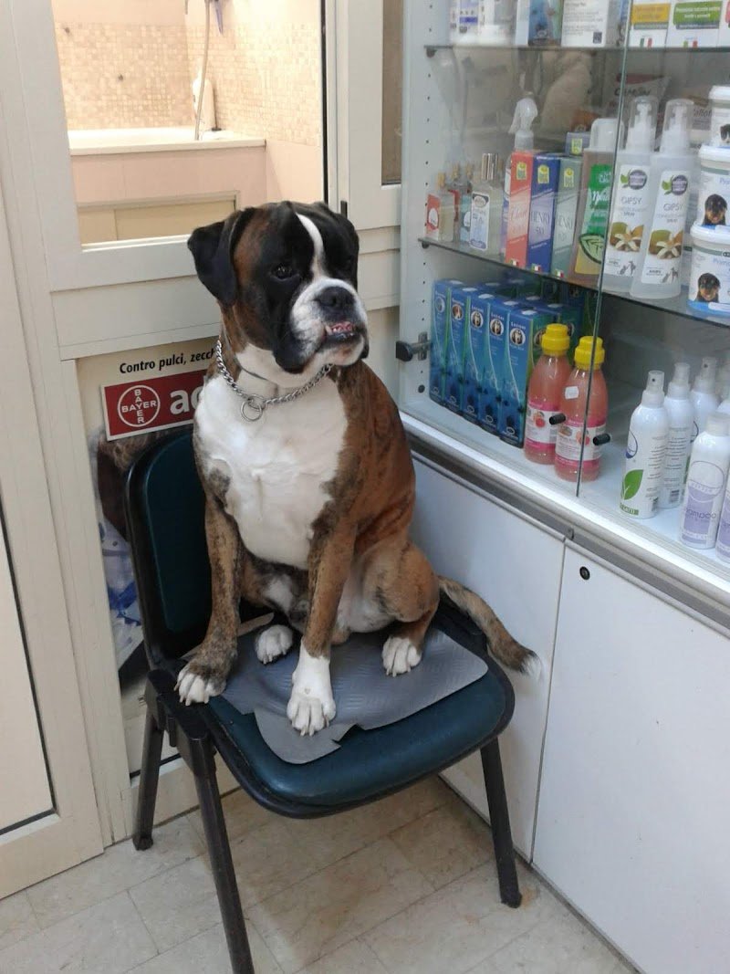 Natura Vera - Foto 3