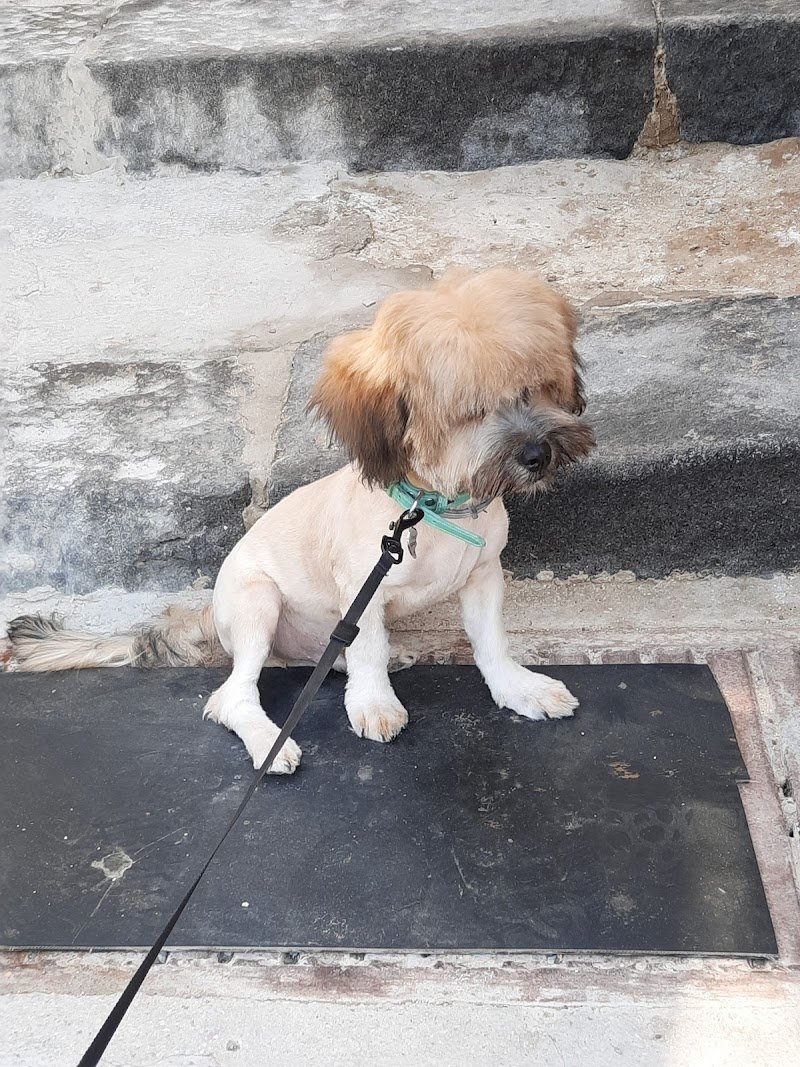 Natura Viva Di Marullo Angelo - Foto 2