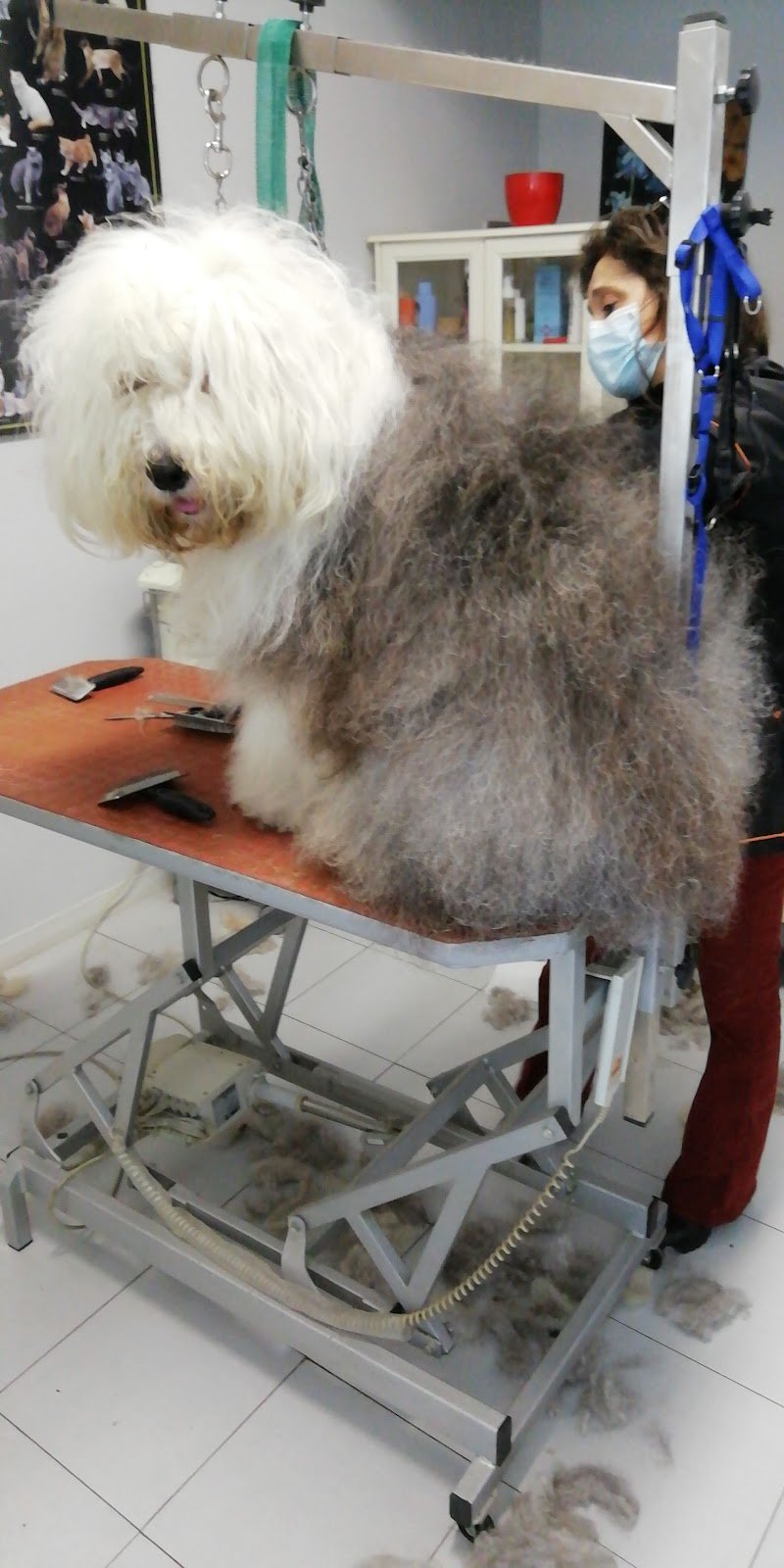 Nel Giardino di Esopo - Foto 6