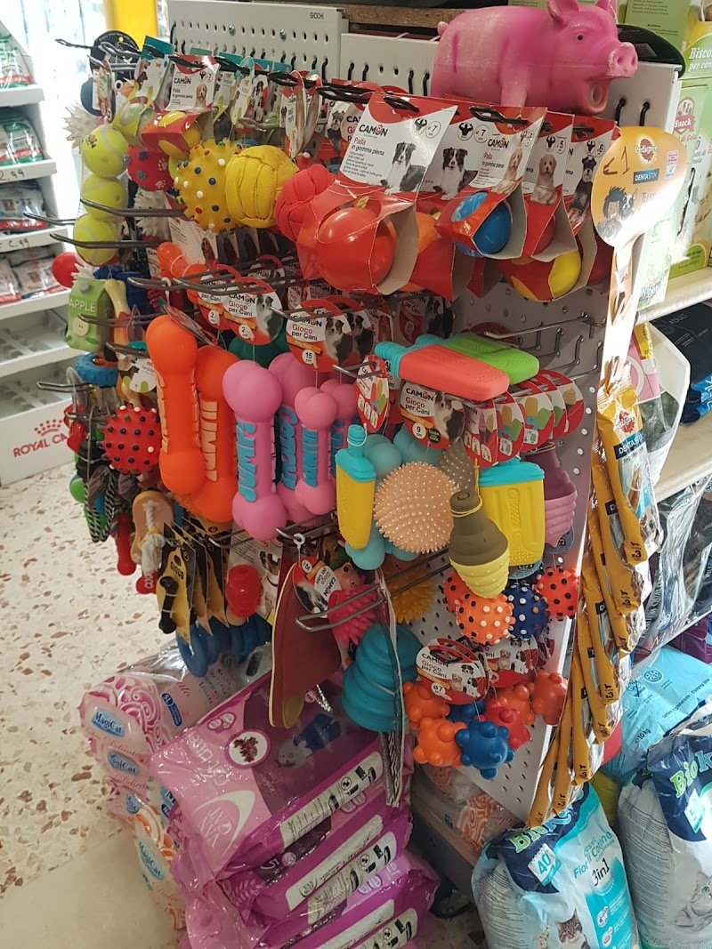 New Cucciolo Negozio di Animali - Foto 3