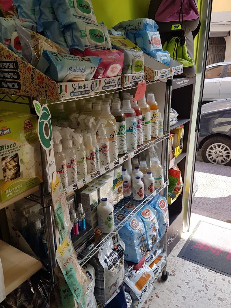 New Cucciolo Negozio di Animali - Foto 4