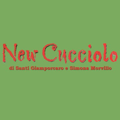 New Cucciolo Negozio di Animali - Foto 6