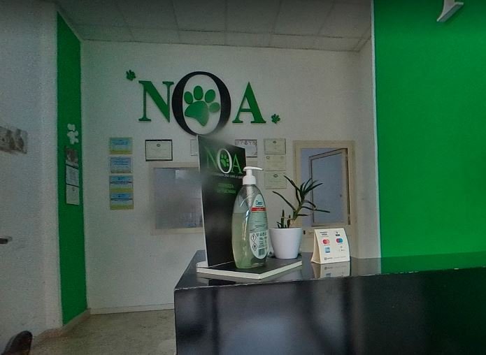 NOA Toelettatura - Foto 3