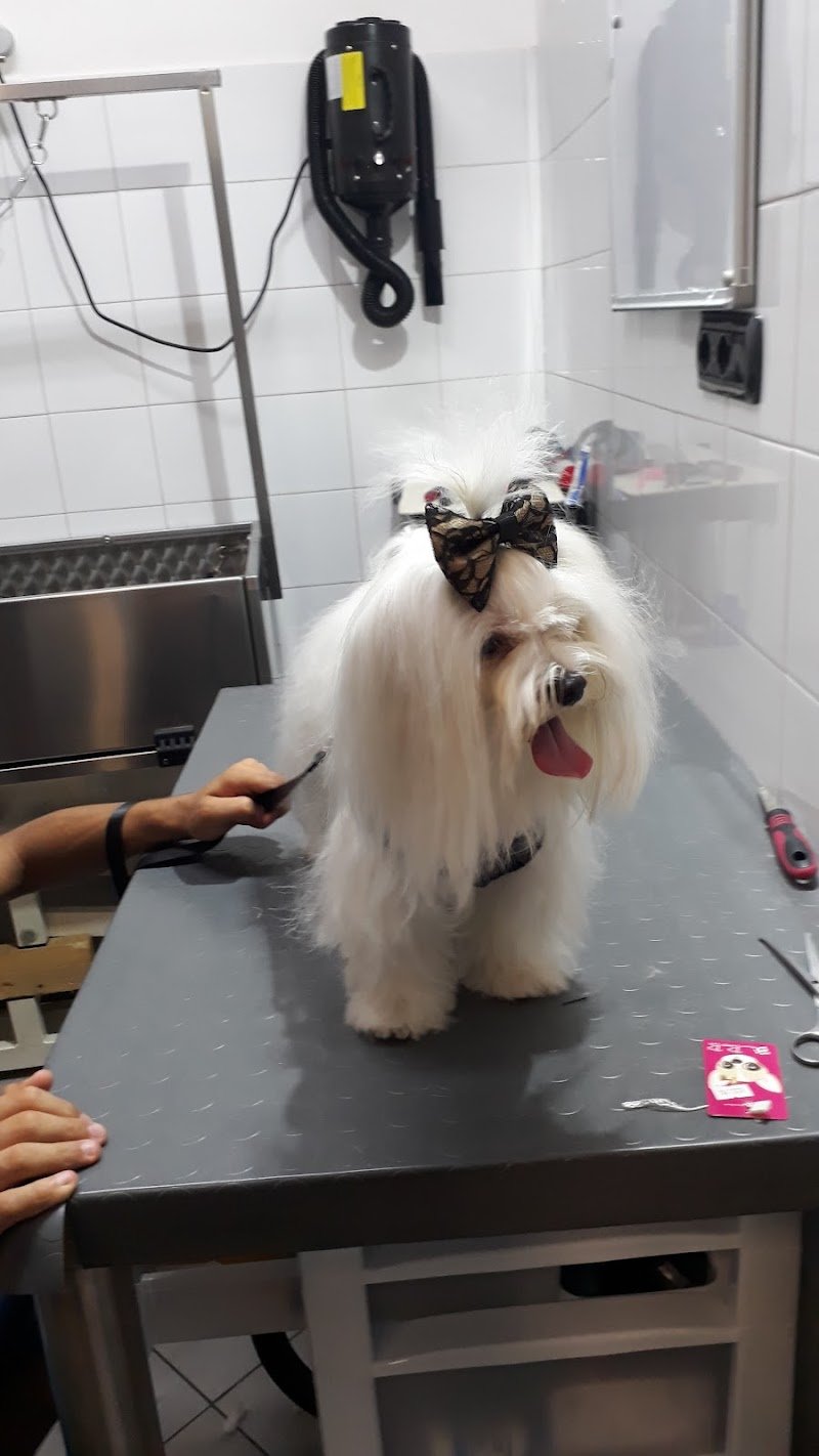 Noi Amici Degli Animali - Foto 1