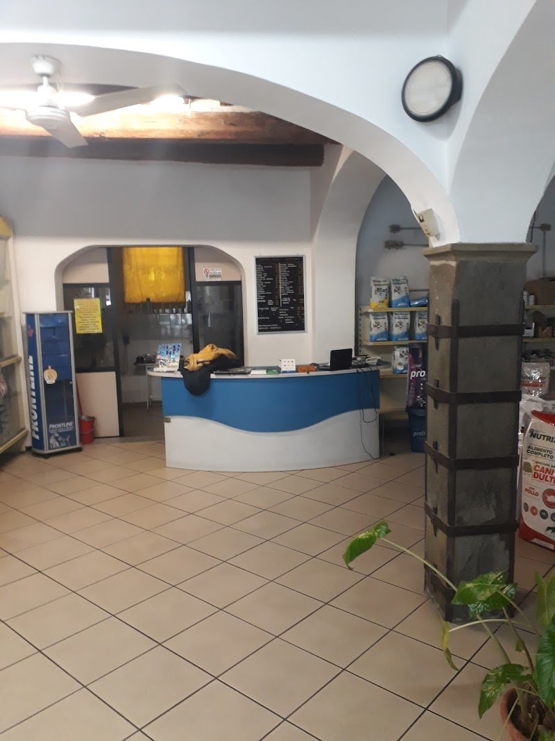 Nuova arca di Noè - Foto 3