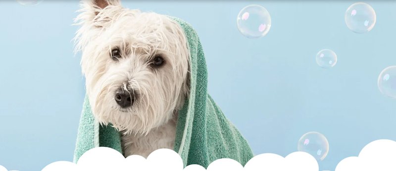 Nuova Lilli Il Vagabondo - Foto 2