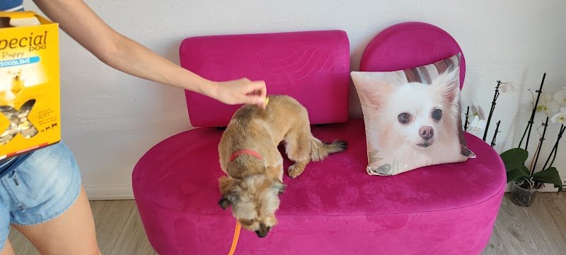 Nuovi di zecca - Foto 1