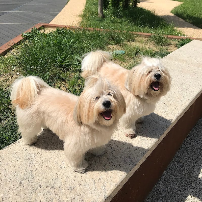 Nuovi di zecca - Foto 2