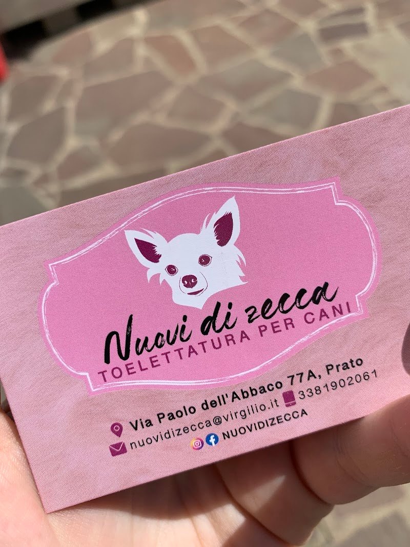 Nuovi di zecca - Foto 3