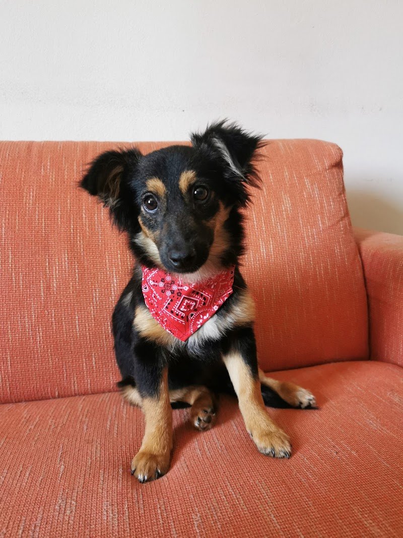 Nuovi di zecca - Foto 4