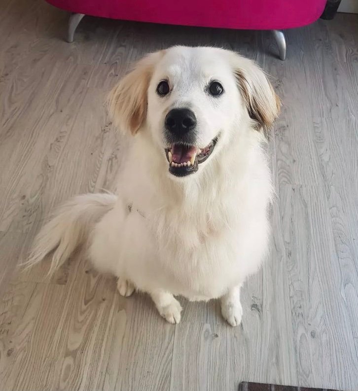 Nuovi di zecca - Foto 5