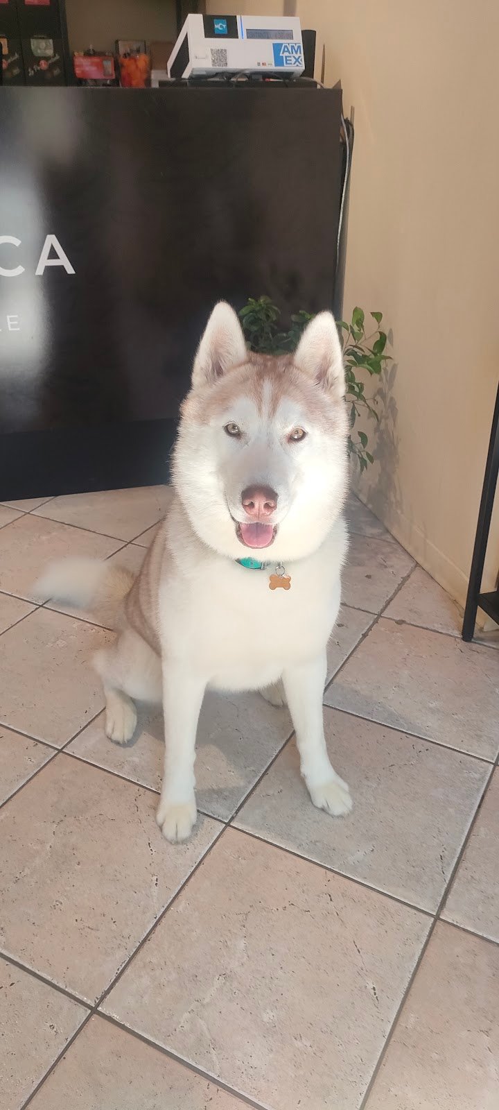 Nuovi di zecca - Foto 6