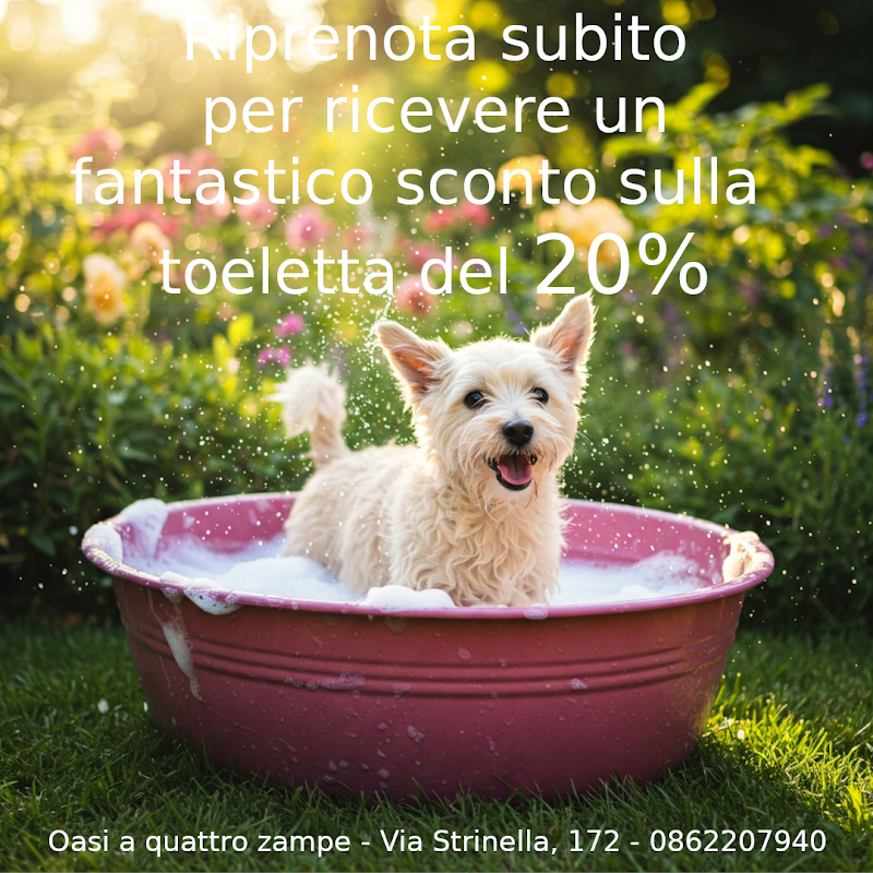 Oasi a Quattro Zampe - Foto 2