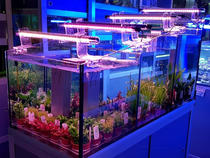 Oasi a Quattro Zampe - Foto 3