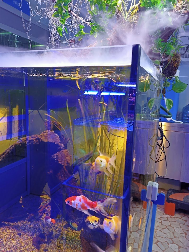 Oasi a Quattro Zampe - Foto 4